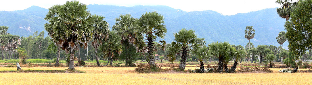 Quà Tặng Nhạc, Sách Nói Và Audio Tiểu Thuyết Kinh Điển Quà Tặng Nhạc, Sách Nói Và Audio Tiểu Thuyết Kinh Điển